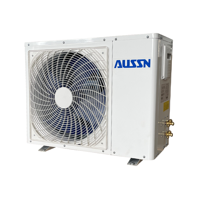 Ai Temperatuurregeling met variabele frequentie en variabele frequentie Hot Fluor Unit